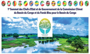 البيان الختامي لرؤساء الدول والحكومات المجتمعين خلال القمة الأولى حول حوض ” الكونغو”
