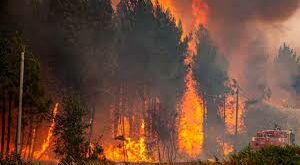 “الكنايدر” تواصل جهودها للسيطرة على حريق جبال “شرشارة”  بتازة